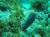 Curacao 04-12 122